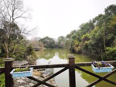 -上海海湾国家森林公园