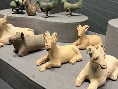 -广西壮族自治区博物馆