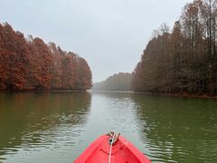 -上海海湾国家森林公园