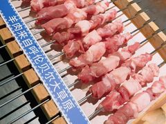 -很久以前羊肉串(朝阳路店)