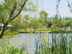 -上海长兴岛郊野公园