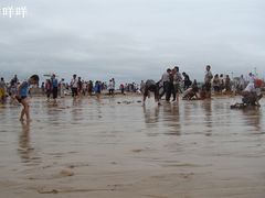 -日照灯塔风景区