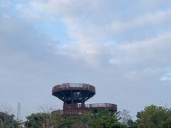 -芒洲湿地公园