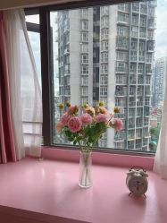 -哈颜科技轻美·