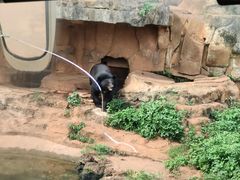 -海南热带野生动植物园