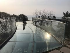 -缙云山景区