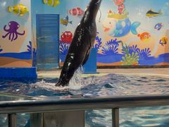 -太平洋海底世界