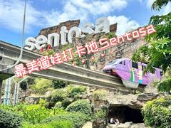 -圣淘沙天际线斜坡滑车