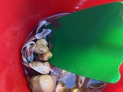 -碧海金沙