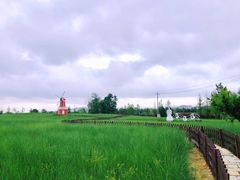 -羊亭河湿地公园