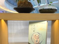 -长风拨筋养身(金虹桥店)