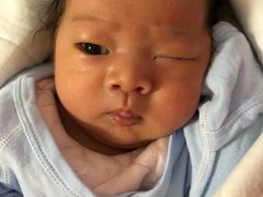 -金蝉食府(维吉奥广场店)