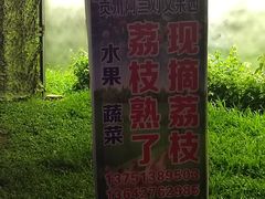-凤岗南门山森林公园