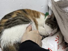 -老丘丘(较场口店)