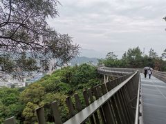 -福道