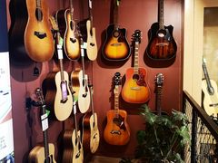 -柏斯琴行(汾阳店)