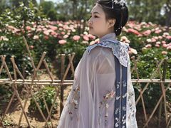 -曹州牡丹园