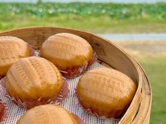 -七的湖·晚芳亭·阳澄湖农家菜·大闸蟹(莲花岛店)