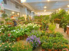 -双季花艺园艺市场(浦东店)