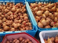 -大唐贡茶院