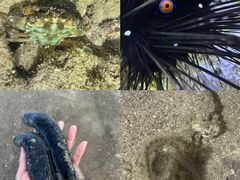 -普吉岛凯悦酒店