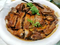 豉油马岗鹅-鹅城