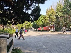 -泰州凤城河风景区-泰山公园