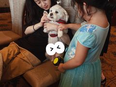 -渔公码头·九龙湾国际饭店