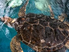 -成都浩海立方海洋公园