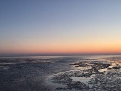 -盐城丹顶鹤湿地生态旅游区