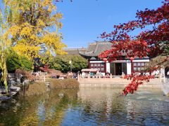 -常熟方塔园