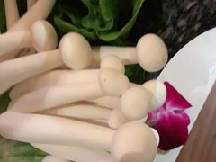 -哥老官重庆美蛙鱼头(圆融广场店)