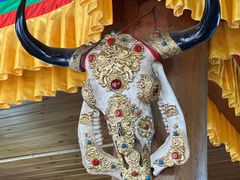 -银同牦牛肉火锅