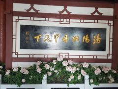 -神州牡丹园