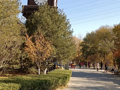 -永定河休闲森林公园