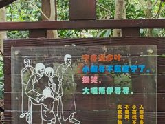 -东平国家森林公园