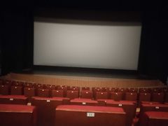 -金逸影城(大悦城IMAX激光店)