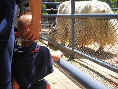 -长白岛森林公园