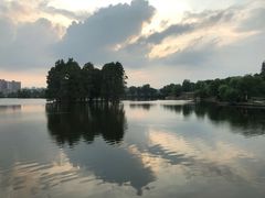 -东湖食堂·湖景餐厅•会议
