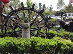 -青城甲(青城山店)