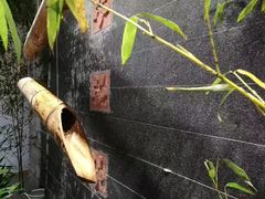 大堂-竹鲜笙全竹宴(国色天香店)