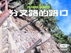 -北京十三陵国家森林公园蟒山景区
