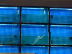 -吉香碳烤生蚝(仙霞路店)