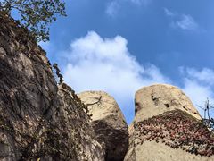 -崂山仰口游览区