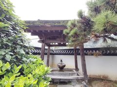 -东方艺术博物馆