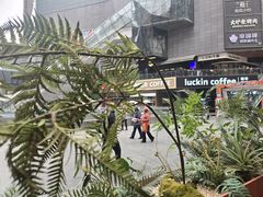 -茶话弄(中贸广场店)