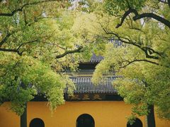 -西园戒幢律寺