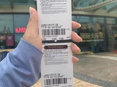 -珠海横琴长隆《卡卡虎奇遇记》