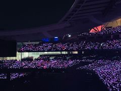 -南京奥林匹克体育中心-体育馆