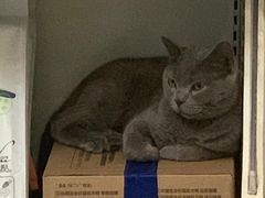 -安安宠医·安宠宠物医院